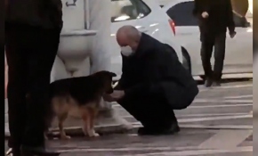 Eliyle sokak köpeğine su içirdi