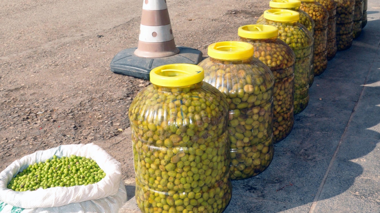 Mardin Zeytin Üreticileri Birliği Başkanı Erkan Doğan, zeytin hasadında bereketli sezon yaşandığını belirterek,