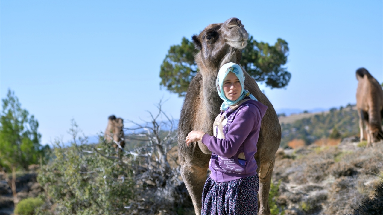 Konargöçerlerden 4 kişilik Uçar ailesi, bir aylık yolculuğun ardından vardıkları bin rakımdaki Taşoluk Yaylası`na çadırlarını kurdu. 