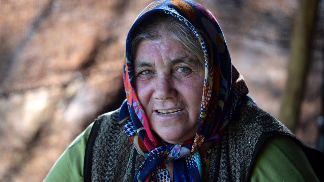 Anne 60 yaşındaki Hatice Uçar, gününü, çadırı temizleyip yemek yapmakla geçirirken eşi Ali Uçar da (62) hem kendileri hem de hayvanları için su bulma telaşına girişiyor.