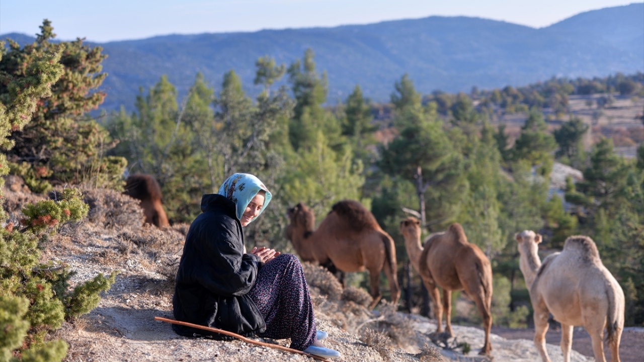 Yolculuk boyunca birçok yerde konaklayan Yörüklerin son durağı, Gülnar ve Silifke ilçesindeki ormanlık alanlar oluyor.