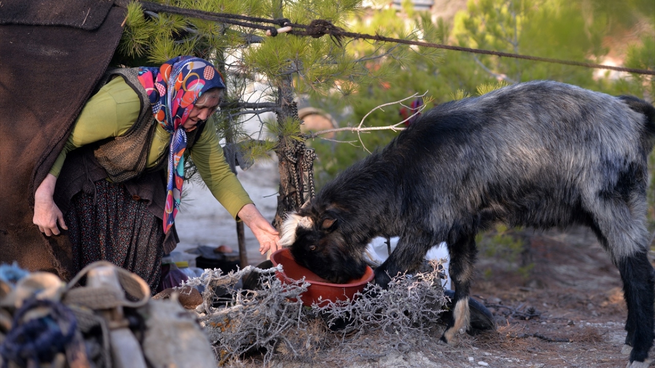 Uçar, sıkıntılarına rağmen göçerliği sevdiğini vurgulayarak, şöyle konuştu: