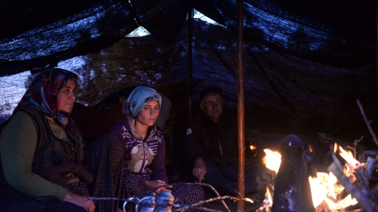 "Çadırda doğduk, büyüdük, başka bir yerimiz yok"