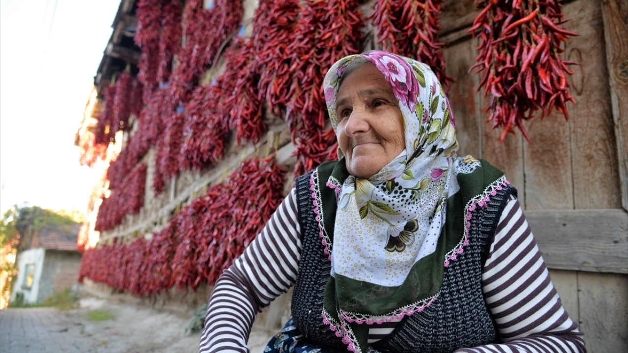 Yetiştiricilerden Şerife Güler de biberin ipe dizilmesi işlemini geçmişte annesinden öğrendiği yöntemle yaptığını belirtti.