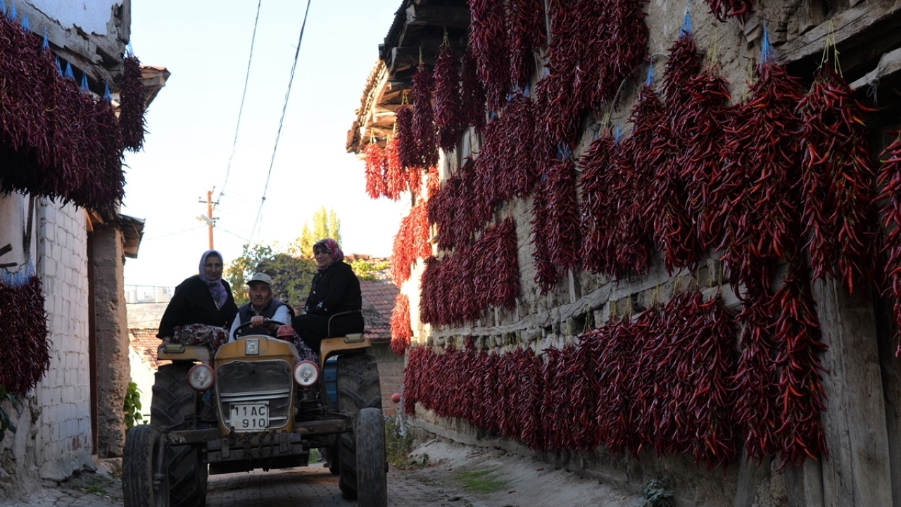 Sevinen, güzel bir hasat geçirdiklerini ifade ederek, fiyat konusunda da umutlu olduklarını sözlerine ekledi. 