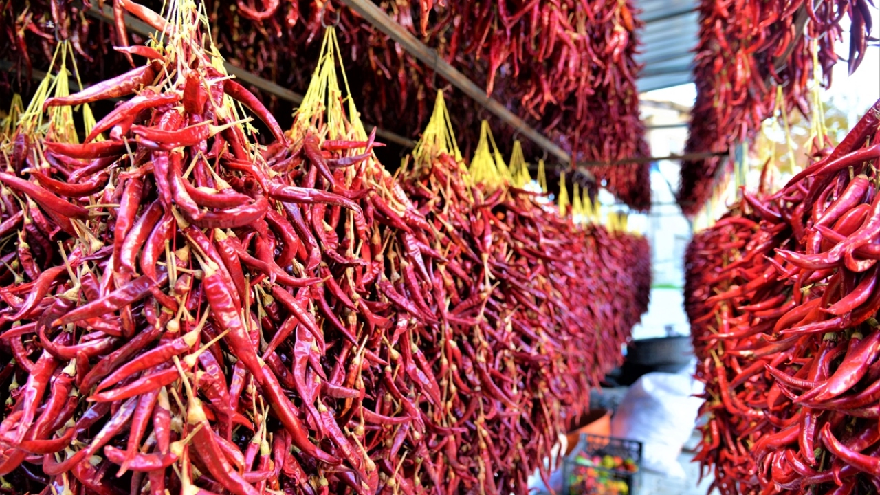 "Ata tohumu bu, genetiğiyle oynanmamıştır"