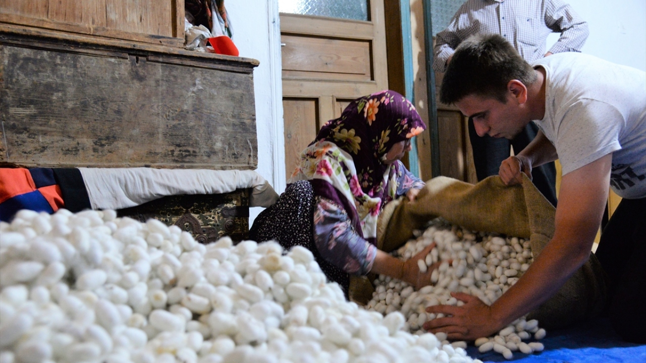 "Kültür ve miras ürününün devam etmesini istiyoruz"