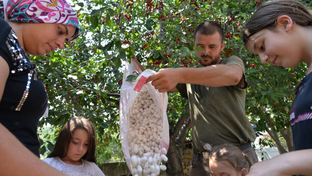 Osmaneli ilçesine bağlı Günüören köyünde 10 yaşından beri ipek böceği yetiştiren 80 yaşındaki Yeşariye Hatun da ipek böceği konusunda gençlerin bilgilenmesi gerektiğini belirtti.