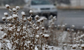 Sarıkamış'ta kar 5 santimetreye ulaştı