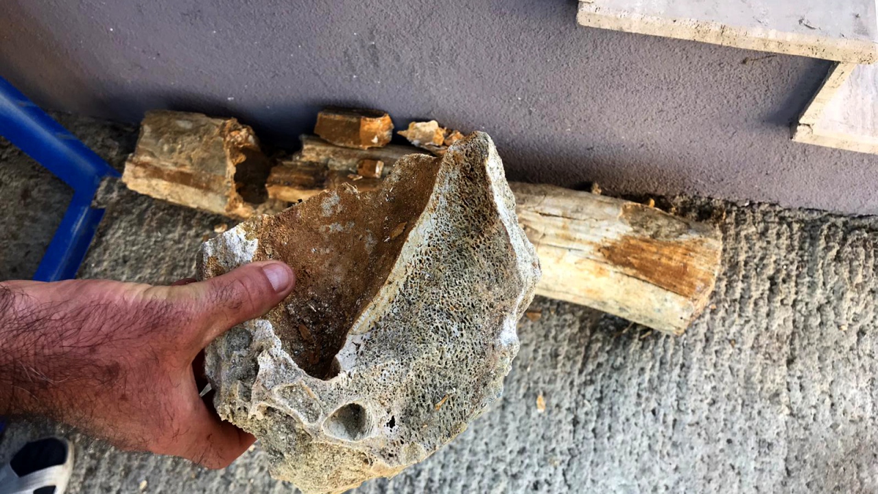 Trakya Üniversitesi Edebiyat Fakültesi Arkeoloji Bölümü`nden uzmanlar, köye giderek bulunan kemikler üzerinde yaptığı incelemede, buluntuların mamutlara ait olabileceğini ifade etti. 