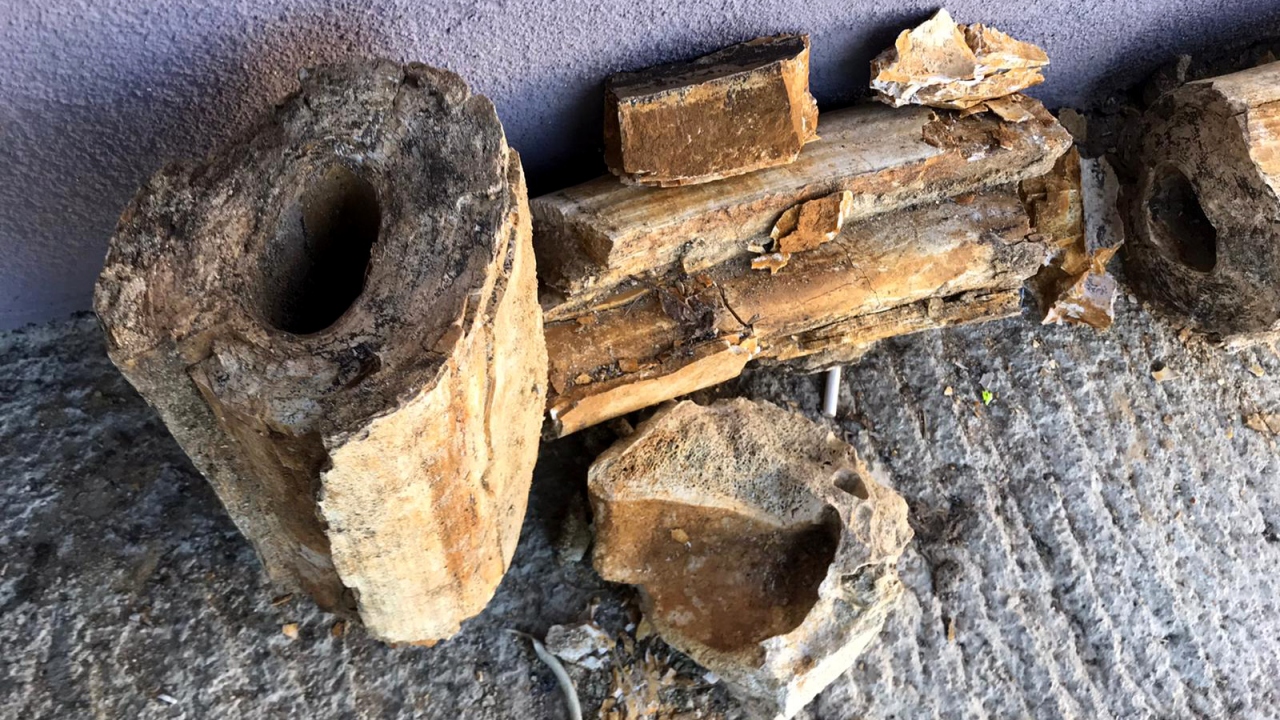 "Daha fazla kemik olabilir"