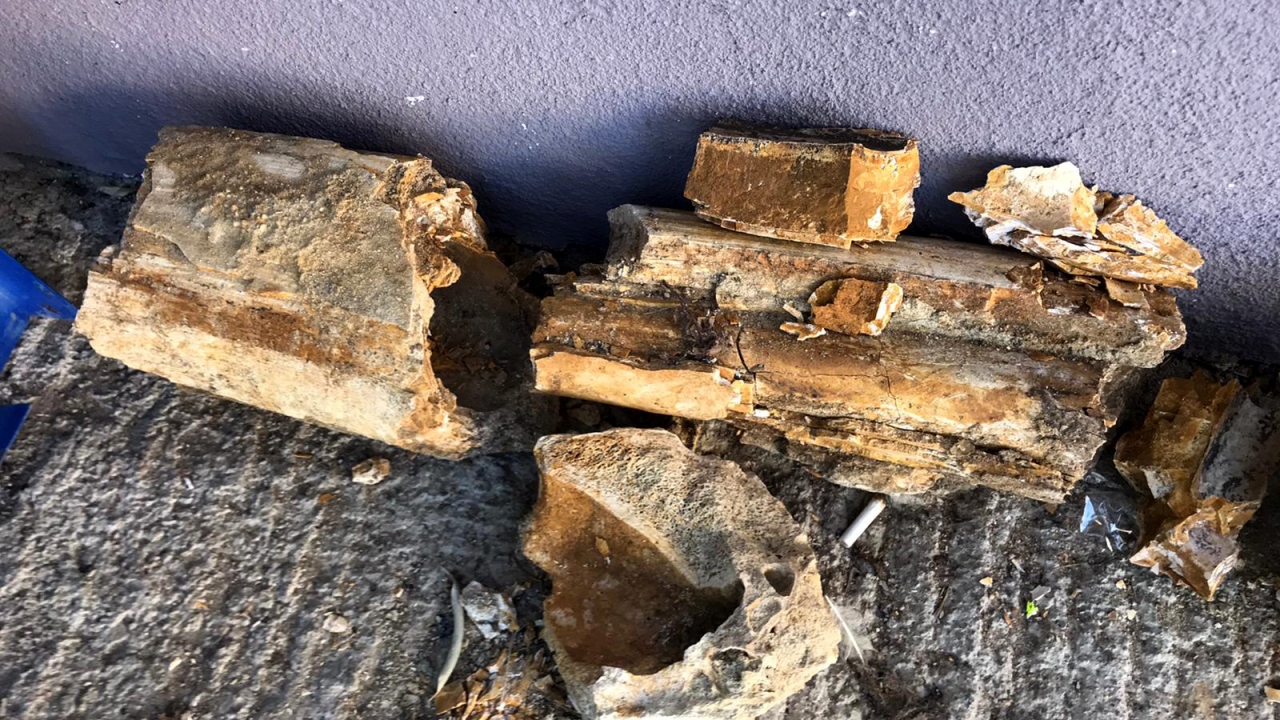 "Bir an önce koruma altına alınmalı"