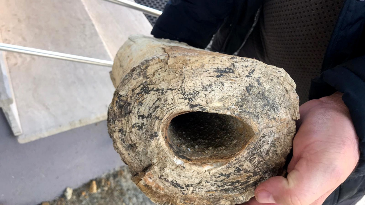 "Korumak ve geleceğe aktarmak bizim görevimiz"