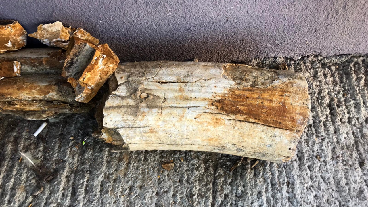 "Bölge daha fazla araştırılmalı"