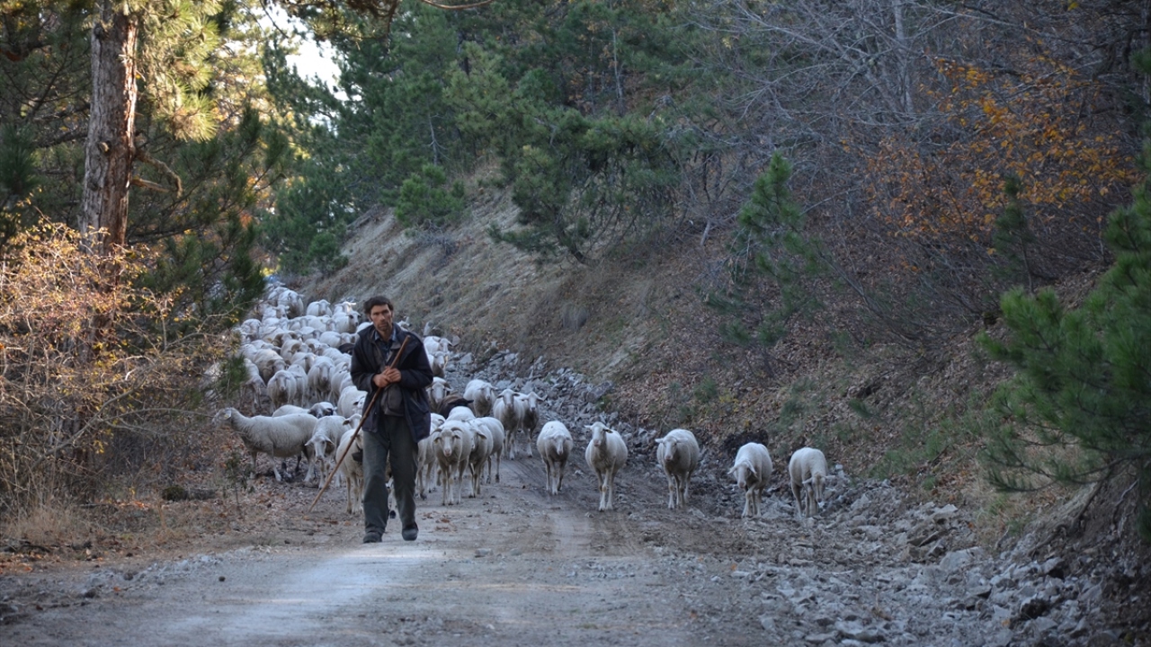 Her yıl önce dağlara sonra ovaya dönen göçerlerin bir grubu da havaların soğumasıyla yine yola koyuldu. 