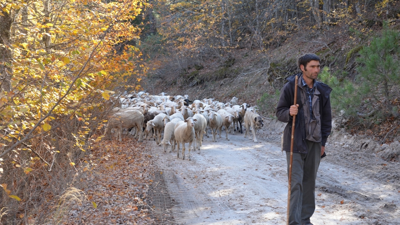 Günün ilk ışıklarıyla kahvaltısını yapan Karakeçili Yörükleri, konakladıkları yerden toplandıktan sonra yeniden yollara düşüyor. 