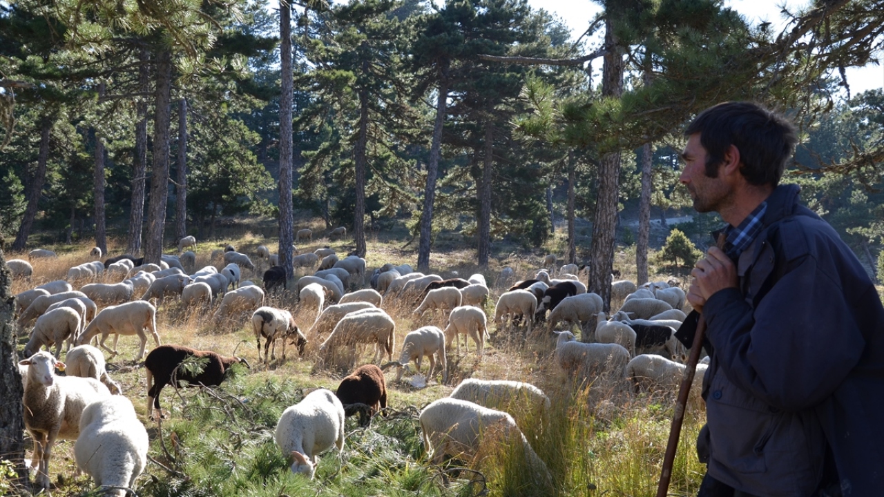 "Bu dağların kokusunu almadan yapamıyoruz"