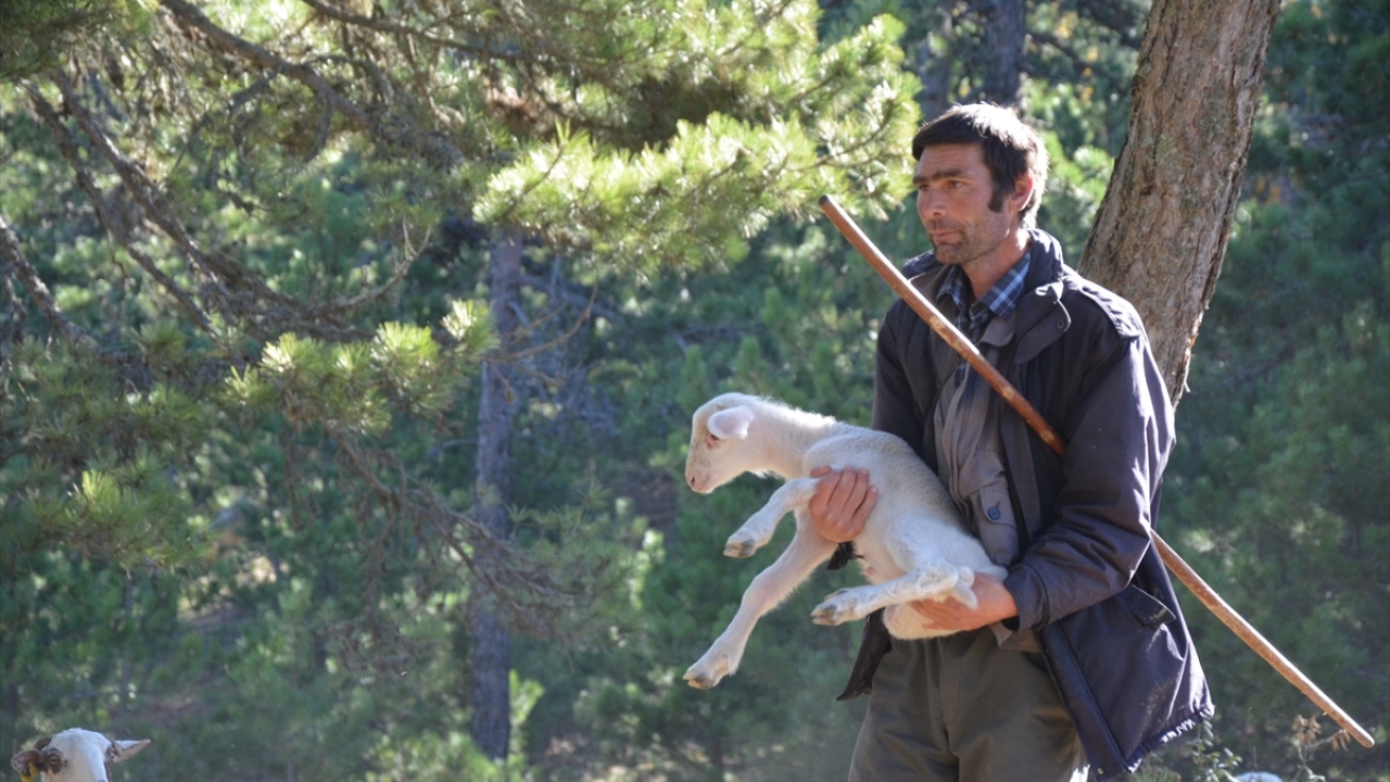 Manisa`nın Salihli ilçesine bağlı Ortaköy Mahallesi`nde kışlayacakları yere varmaya çabalayan Yörükler, tüm güçlüklere rağmen yolculuğun bir an önce bitmesi için gün sayıyor.