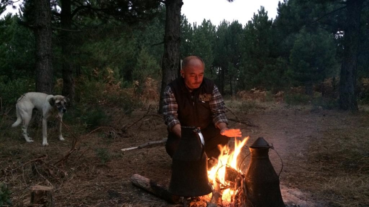 Konaklayacakları alanda yaptıkları ilk iş, küçükbaş hayvan sürüsünün etrafını telle çevirip onlar için bir ağıl oluşturmak. 