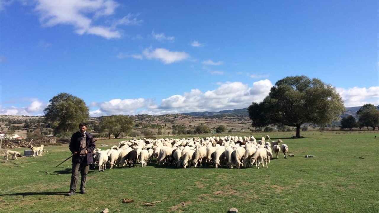 Göç, Yörükler için bir yaşam biçimi ve yılda iki kez gerçekleştirdikleri mekan değişikliğinden çok öte anlama sahip. 