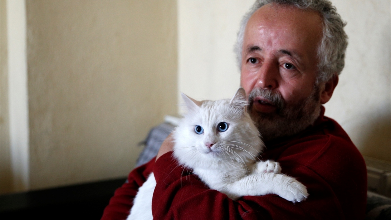 Sun, yaptığı araştırma sonucu Kayseri`de `Nuh Baba` lakaplı Mehmet Yakuter`de de Van kedisi bulunduğunu öğrenince kendisiyle iletişime geçip Pekin`den yola çıktı.