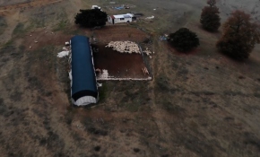 Osmanlı'nın kışlağı Söğüt'te yaylacıların eve dönüşü başladı