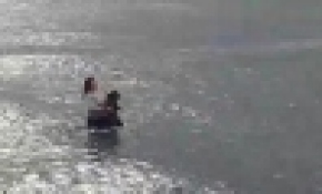 Boğulma tehlikesi geçiren köpek için buz gibi suya atladı