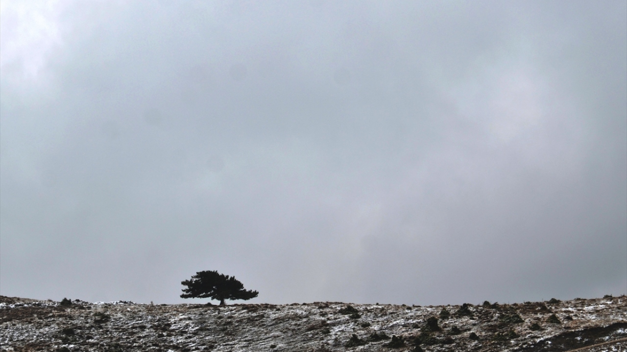 Ömürcan Topsakal ise "Kar insana huzur, mutluluk getiren bir şey. Kar yağışını çok özlemiştik. Doğa ile birleşince de bizde çok güzel hisler uyandırdı." dedi. 