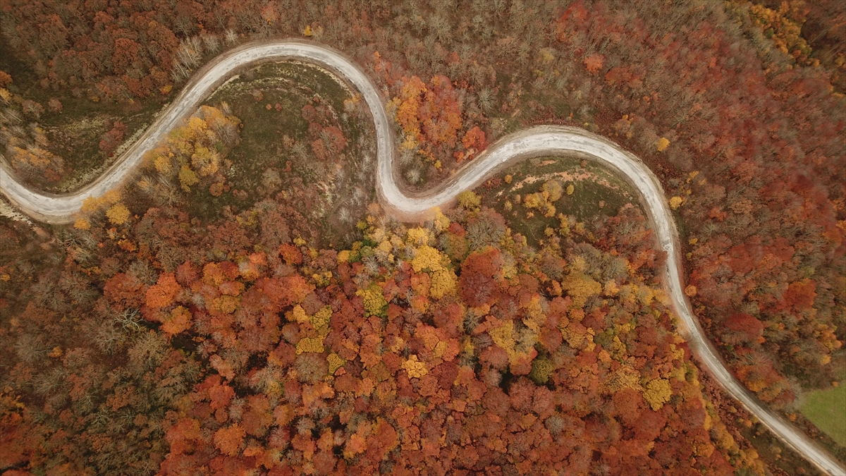Bölgede son dönemdeki yağışların etkisiyle yükselen dereleri, doğal güzellikleri, yürüyüş parkurları ve barındırdığı hayvan popülasyonuyla ilgi çeken ormanlar, sonbaharda yeşil, sarı ve kahverenginin farklı tonlarıyla ilgi çekiyor.