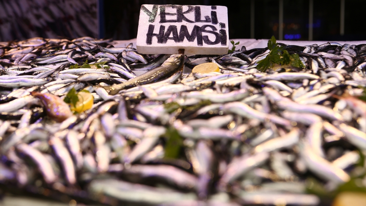 Türkiye`nin önemli balıkçılık kentlerinden Trabzon`da denize açılan balıkçılar, bol miktarda hamsi avlamaya devam ediyor.