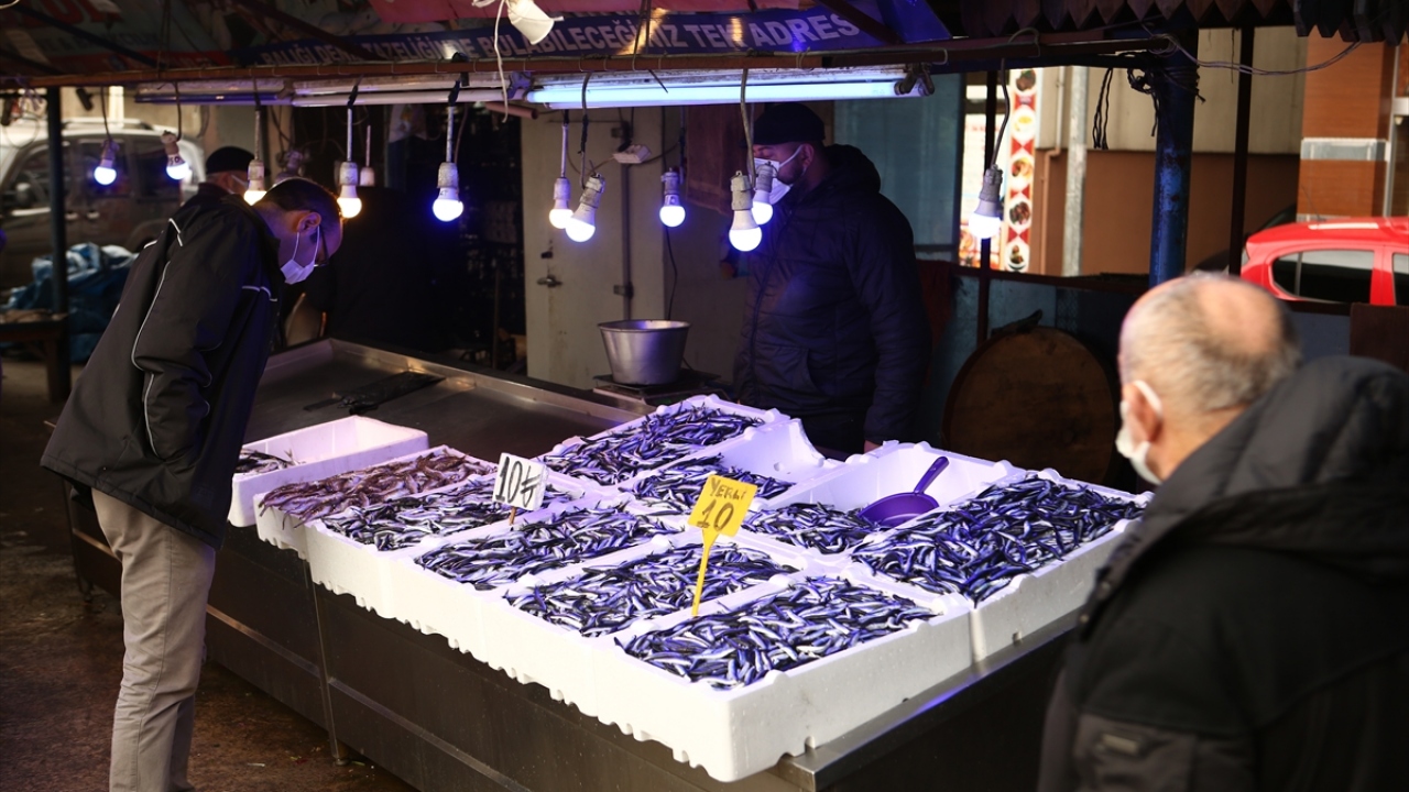 "Vira bismillah" diyerek 1 Eylül`de denize açılan ve bol miktarda palamut avlayan balıkçıların yeni umudu hamsi oldu. 