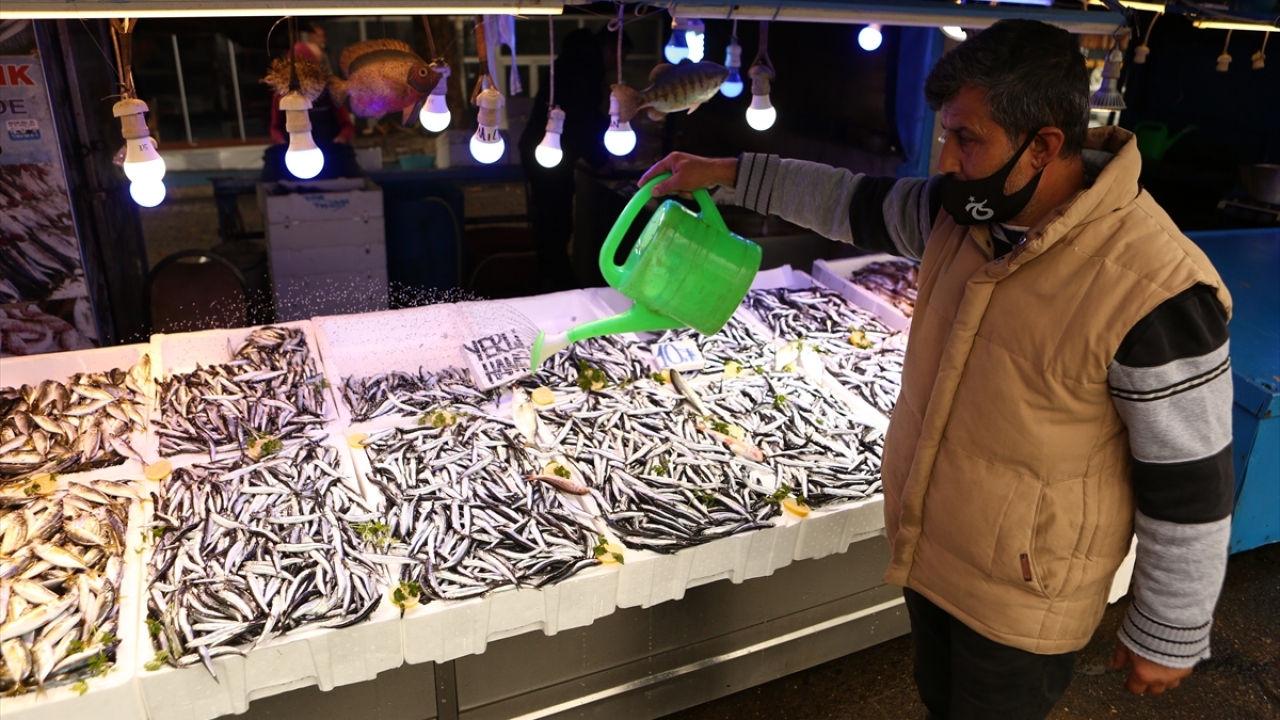 Palamutta verimli bir sezonu geride bırakan balıkçılar, aynı verimi hamside de almayı temenni ediyor.
