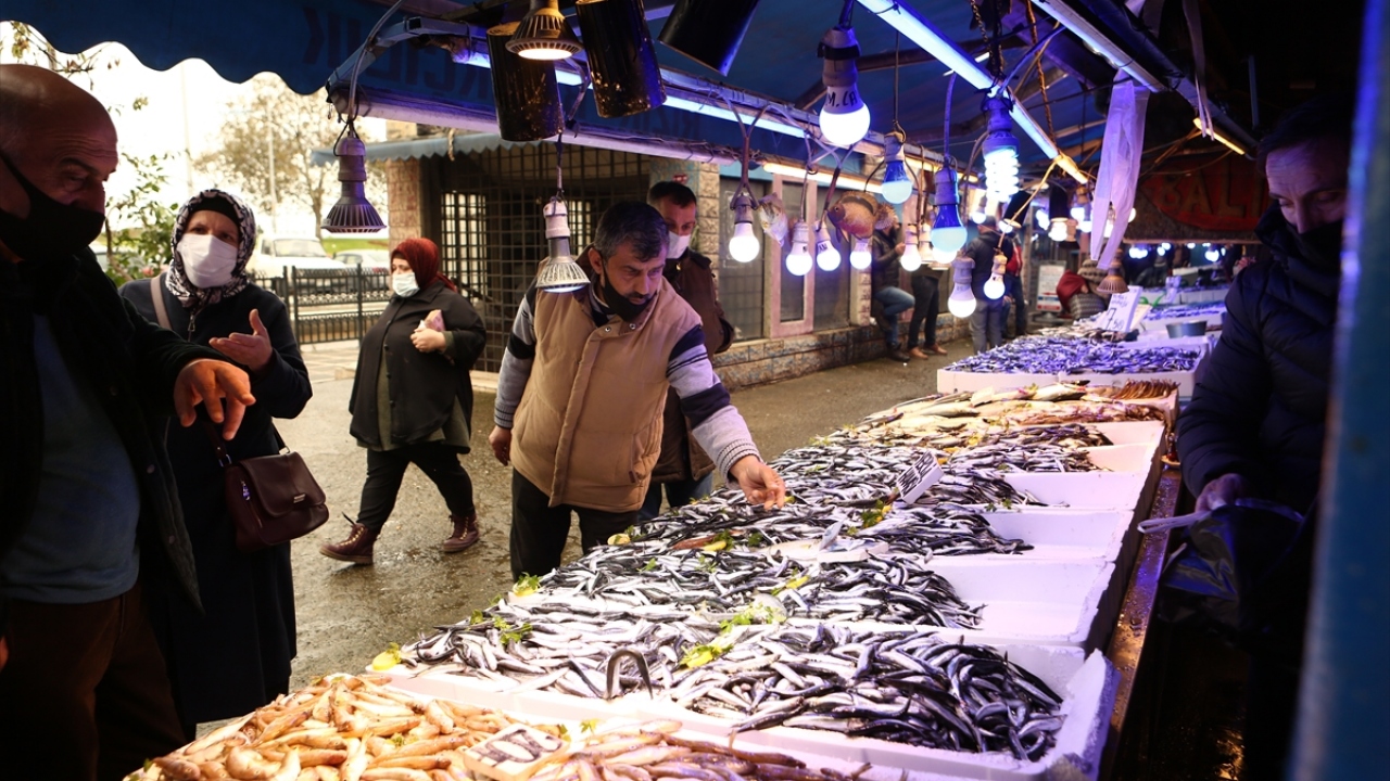Karadeniz`de ağlara takılan bol miktarda hamsi, hem balıkçıların hem de vatandaşın yüzünü güldürüyor.