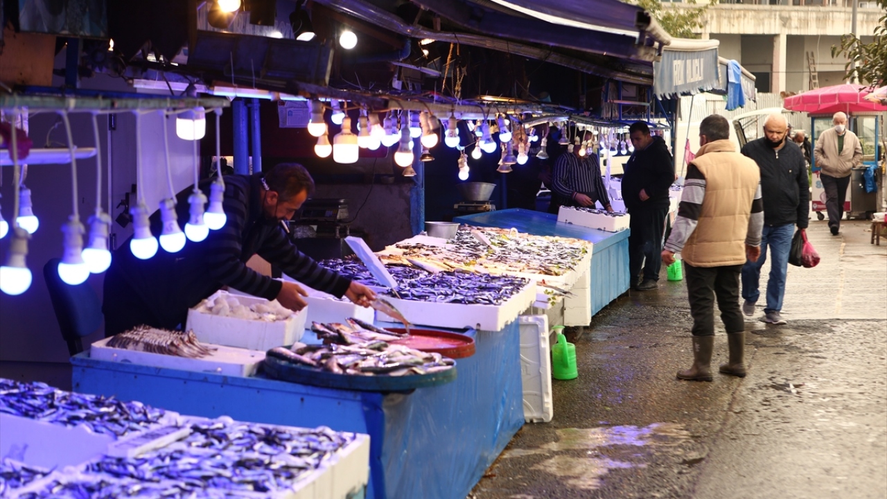 "Karadeniz`in elması, Türkiye`nin elması hamsidir"