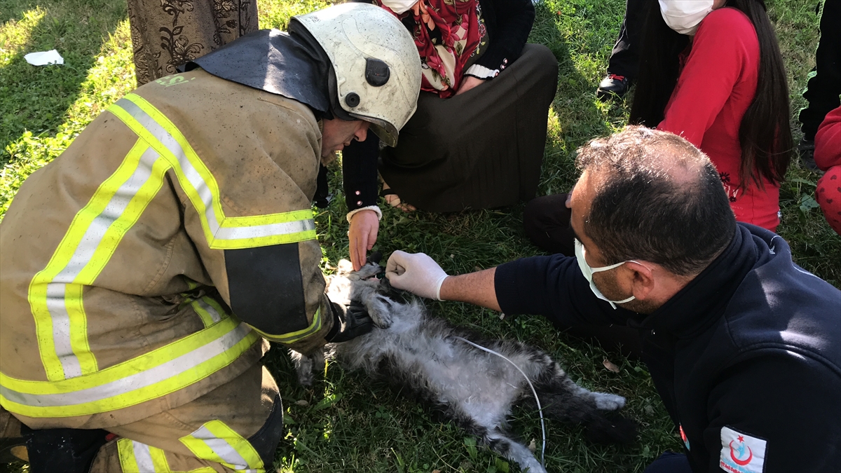 Bu sırada ekiplerin çalışmasını endişeyle izleyen iki kardeş gözyaşı döktü. 