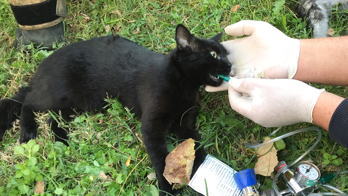 Söndürülen yangında dairede hasar oluştu. 