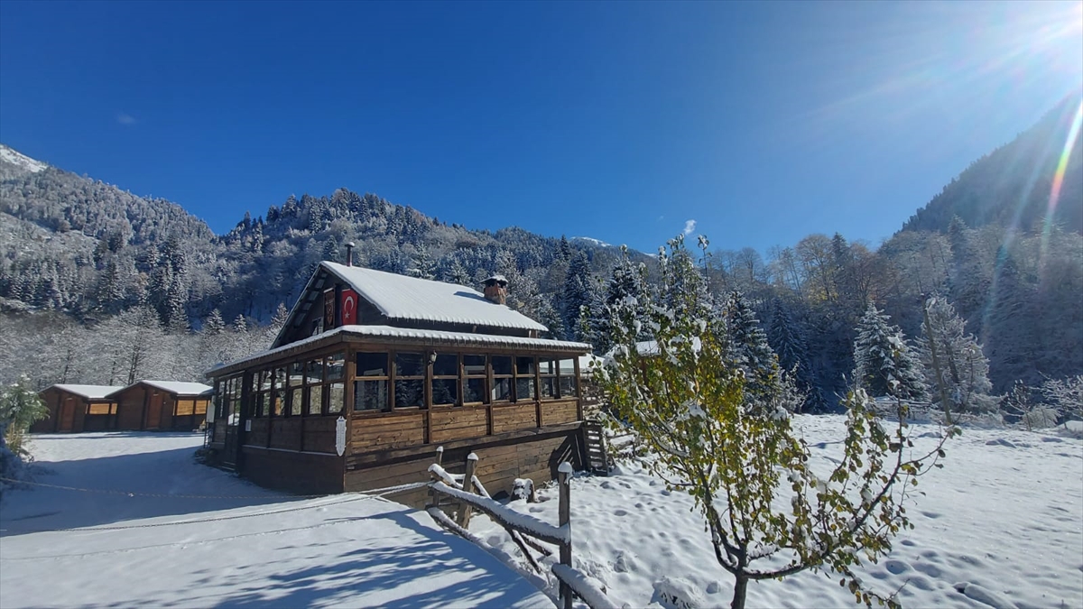 Yağışın ardından Ayder Yaylasındaki çam ormanları ayrı bir güzelliğe büründü.