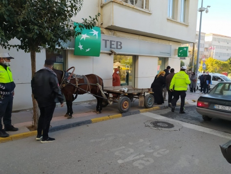 Edirnede at arabasını kaldırıma bırakan kişiye para cezası uygulandı