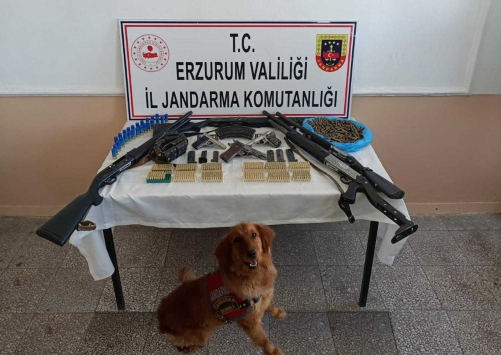 Erzurumda uyuşturucu ve silah kaçakçılığı yaptığı iddia edilen 10 zanlı tutuklandı