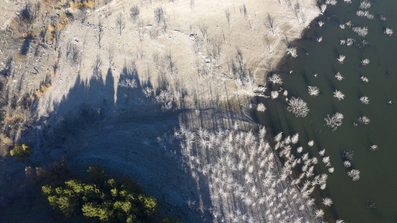 Su yüzeyinde ve kenardaki kurumuş ağaçların üzerindeki beyazlıklar güzel görüntüler oluşturdu.