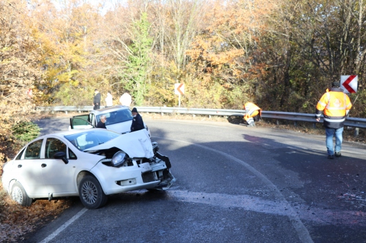 Boluda büyükbaş hayvan yüklü kamyonet ile otomobil çarpıştı: 5 yaralı