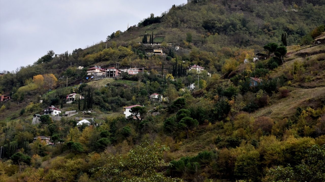 Güz mevsiminin tüm renklerinin bir arada görülebildiği ilçenin Kuruçam ve Alsancak mahallelerinde, sonbahar renklerinin arasında kaybolan evler de ayrı bir güzellik sunuyor.