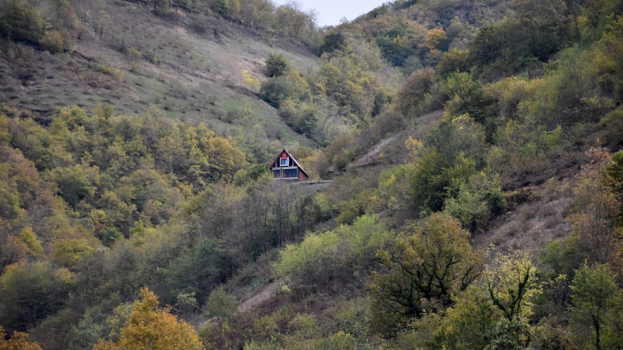 Kartpostalları aratmayan karayolunda ise araç sürücüleri büyüleyici güz renklerini alan ağaçlarla kaplı yollarda seyrine doyum olmayan manzarada ilerliyor.