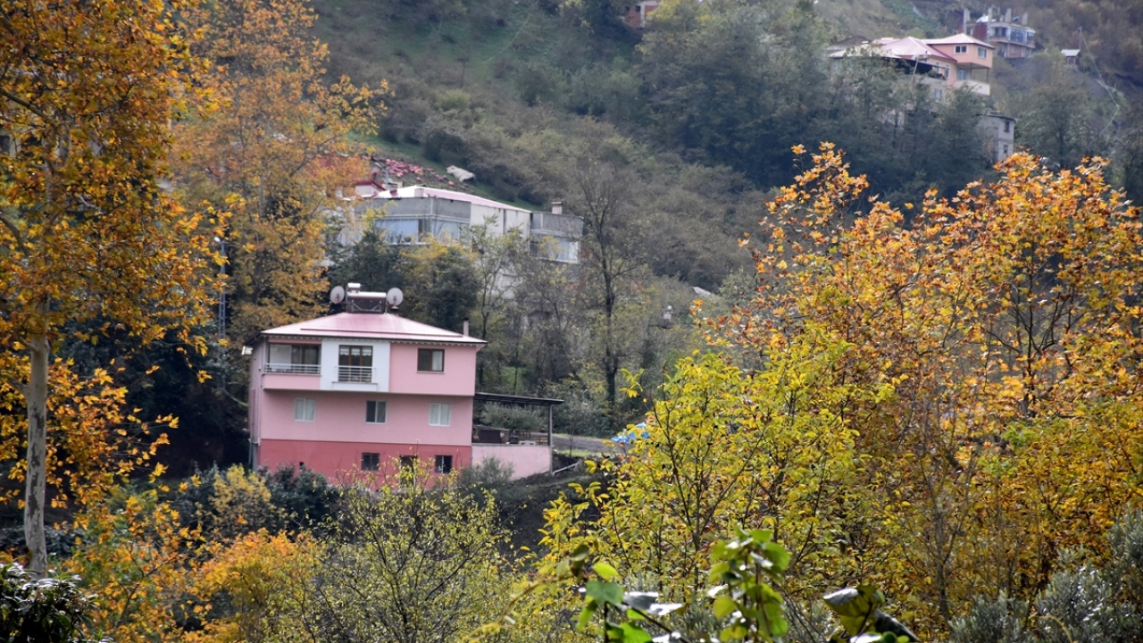 Öte yandan ilçenin yüksek kesimlerinde ladin ağaçlarıyla kaplı dağlarda oluşan sis bulutları da bölgeye görsel şölen sunuyor.