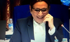 Komisyonun davetsiz misafiri kedi