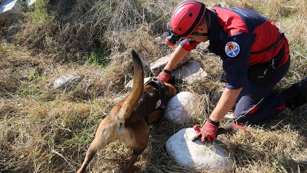 Belediyeden yapılan açıklamaya göre, İtfaiye Daire Başkanlığında uzman eğitmenler, enkaz arama ve iz sürme ile uyuşturucu ve bomba bulmada kullanılan köpekleri zorlu eğitimlerden geçiriyor.