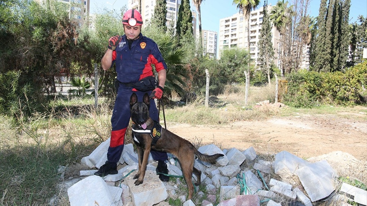 Arama ve kurtarma çalışmalarında görev alacak olan ve çipleri bulunan "Maya" ile "Vesta" isimli 2 köpeği eğittiğini anlatan Teltik, "hassas burunların" zorlu görevlerde yer alacağını kaydetti.