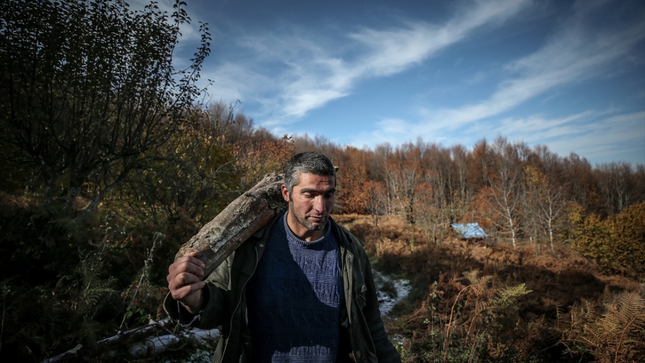 Yaklaşık 7 yıl önce Uludağ eteklerinde Zeyniler Mahallesi`ne 1 kilometre mesafedeki Erikli Yayla mevkisinde, araç yolu bulunmayan ormanlık alana yerleşme kararı alan Budak, buraya yaptığı küçük kulübede yaşamaya başladı.