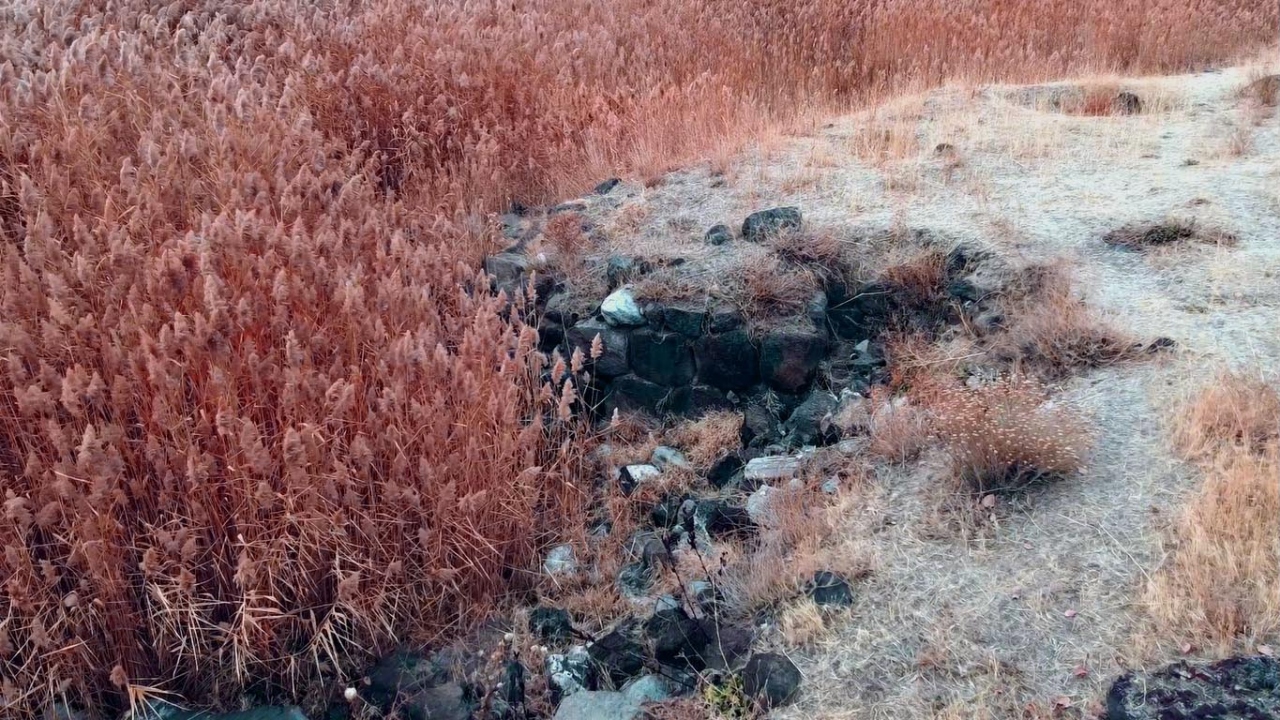 Gölün çekilmesiyle birlikte Erciş Kalesi ve mikrobiyalitlerin gün yüzüne çıktığı Erciş`te, ilçenin 10 kilometre doğusunda bulunan ve Deliçay sularının Van Gölü`ne döküldüğü alanda bazı kalıntılar gün yüzüne çıktı.