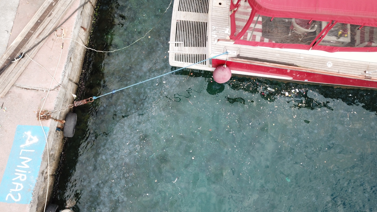 Sahilde balık tutan balıkçılar, denizanalarının çokluğundan dert yandı.